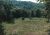 Smith Cemetery